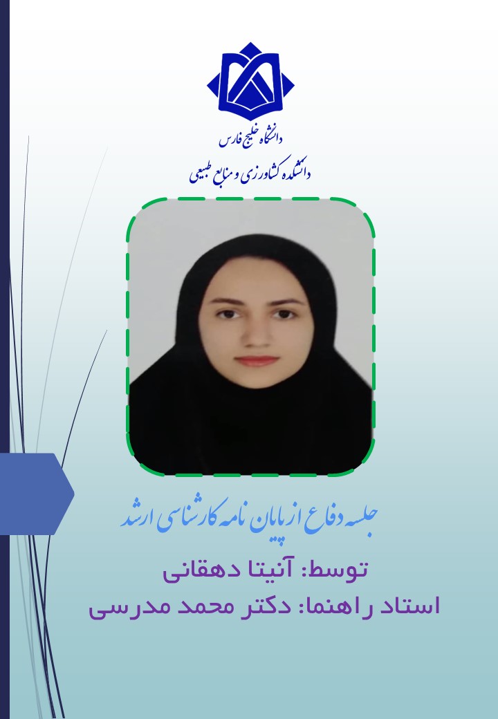 آنیتا دهقانی