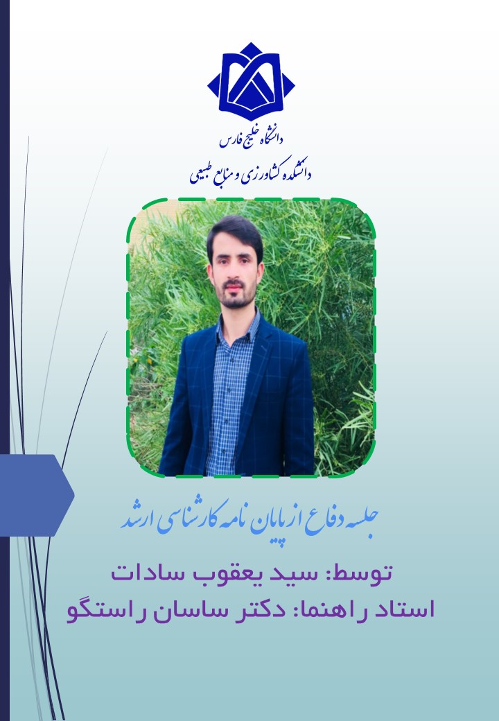سادات