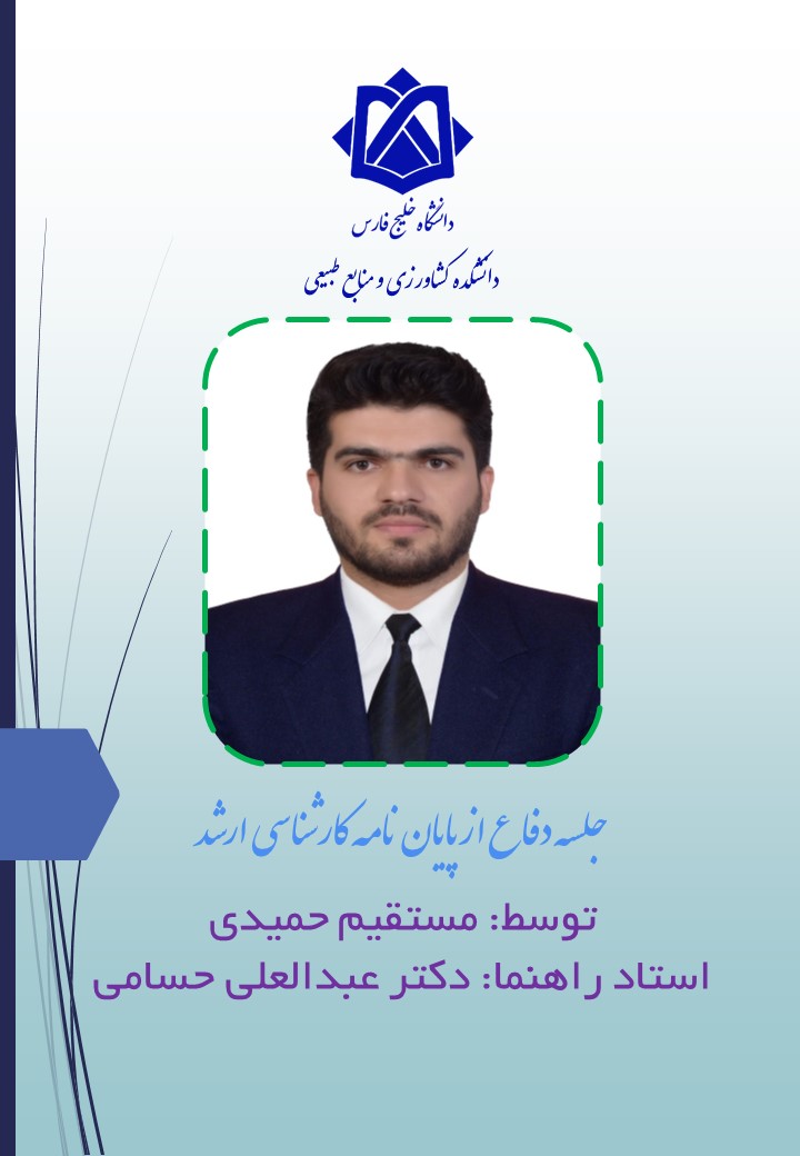 مستقیم حمیدی