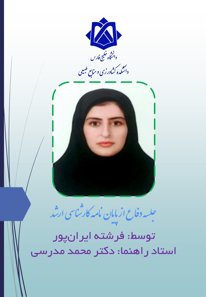 فرشته ایران پور
