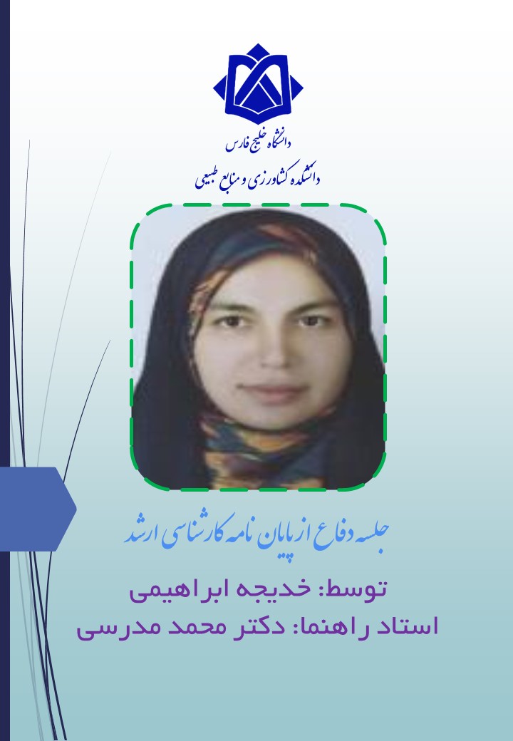 خدیجه ابراهیمی