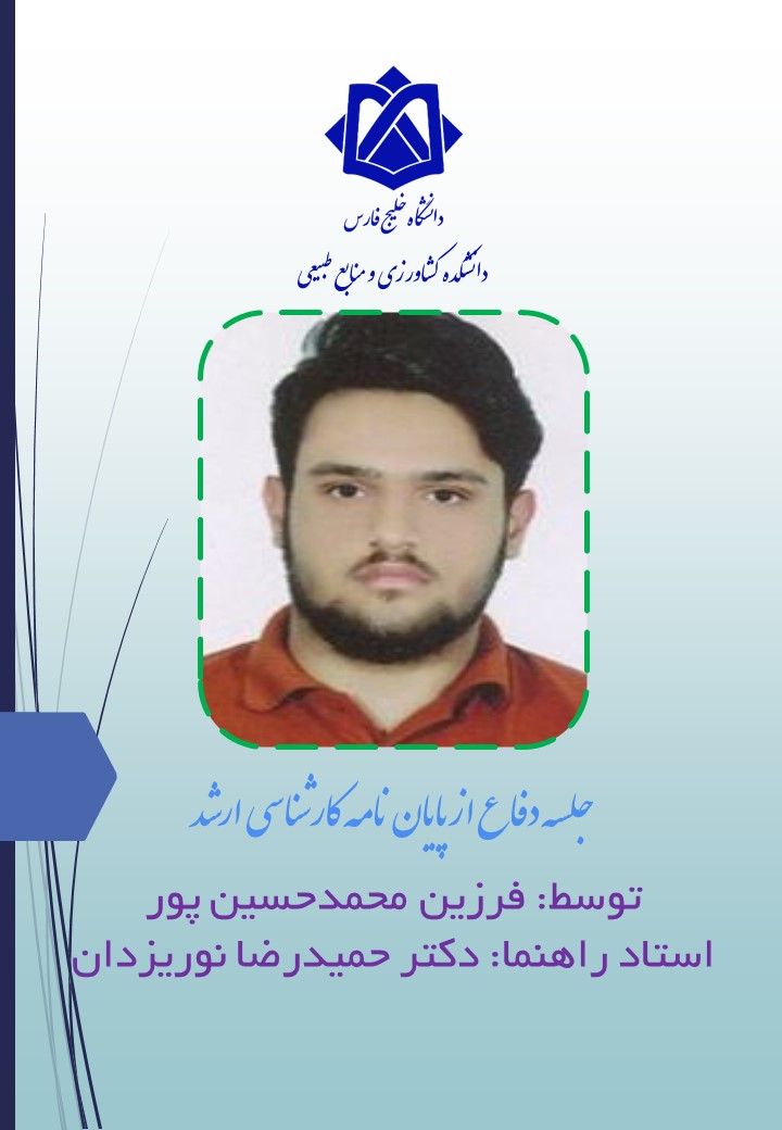 فرزین محمدحسین پور