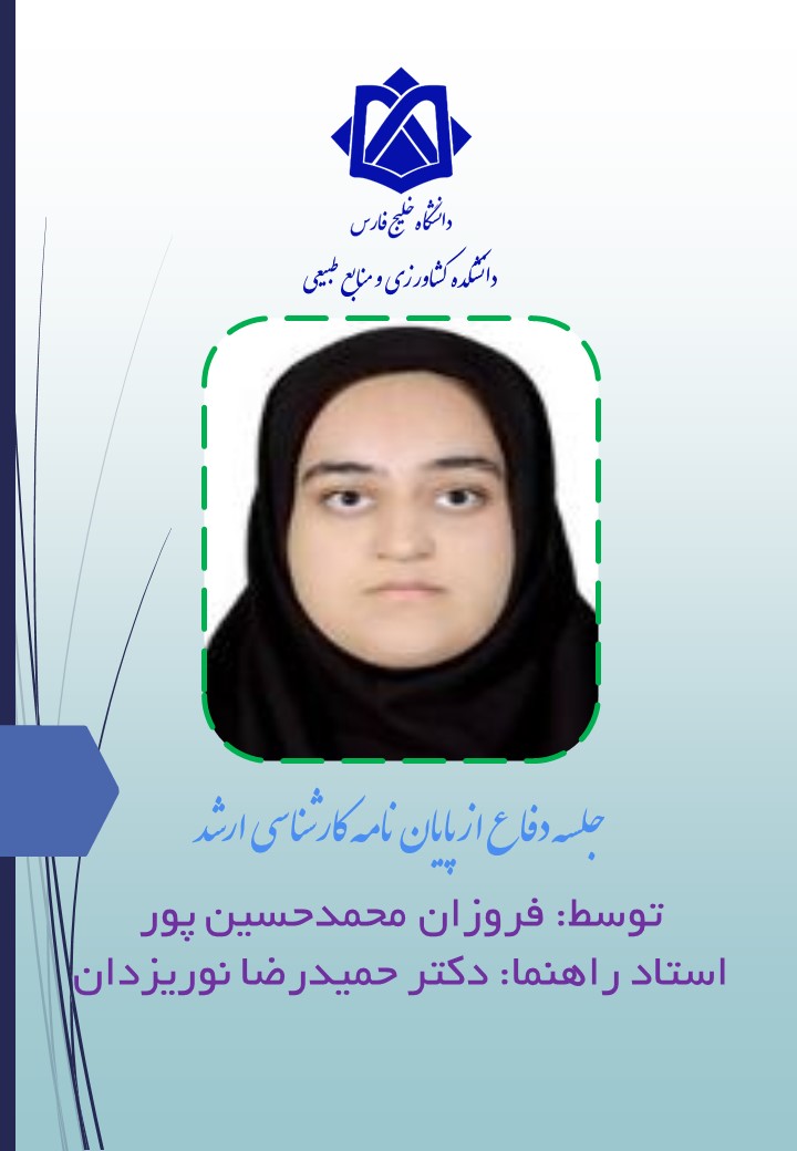 فروزان محمدحسین پور
