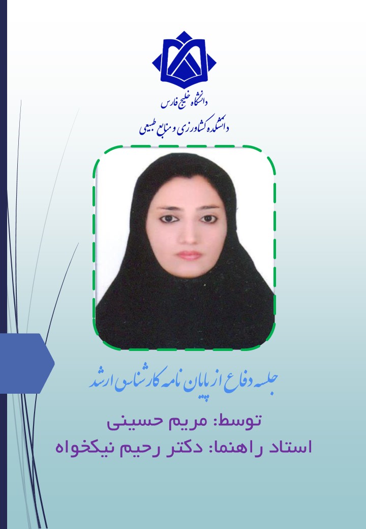 مریم حسینی